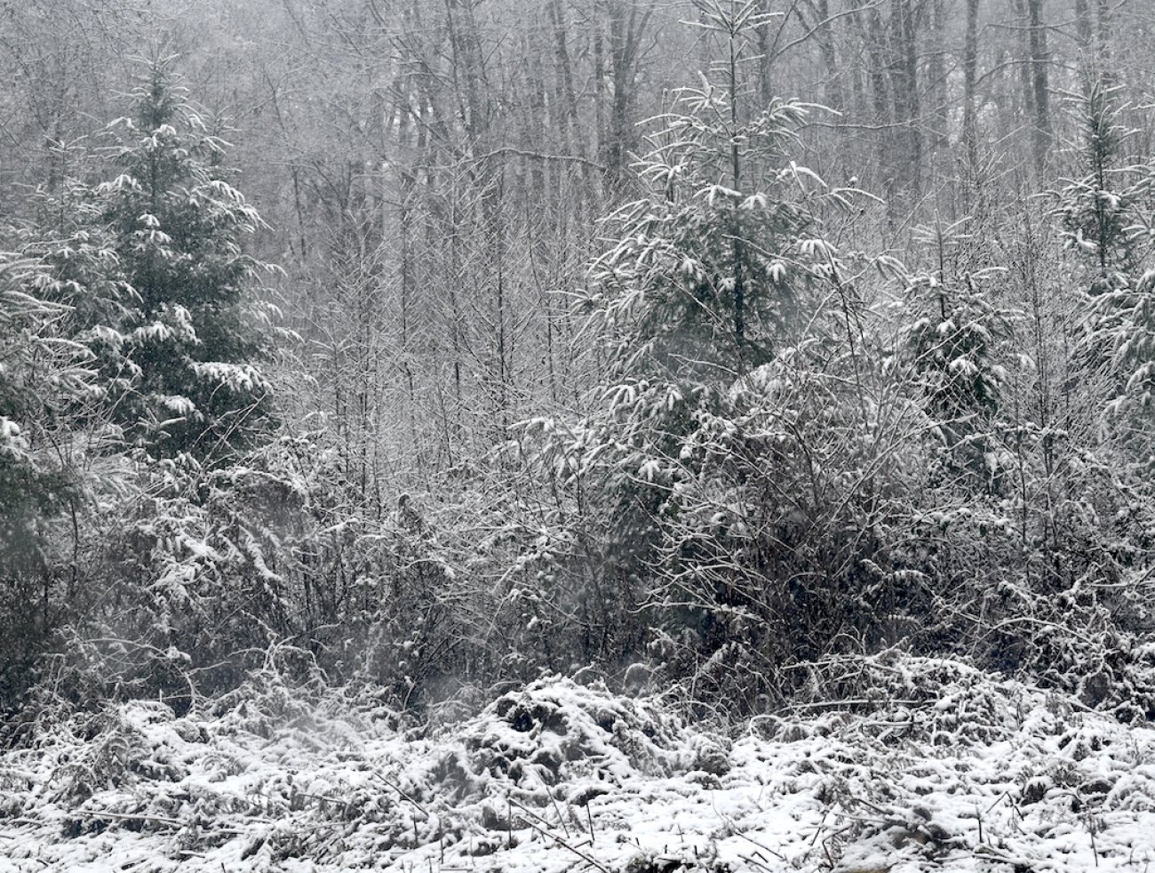 Région du Creusot La 1ère offensive de l hiver en photos Creusot Infos