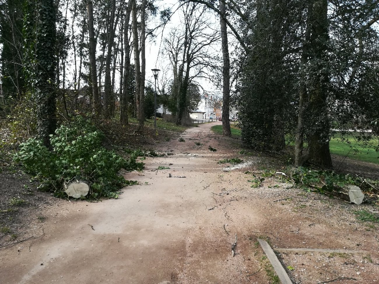 le-creusot-un-coup-de-vent-qui-n-a-pas-t-sans-cons-quences