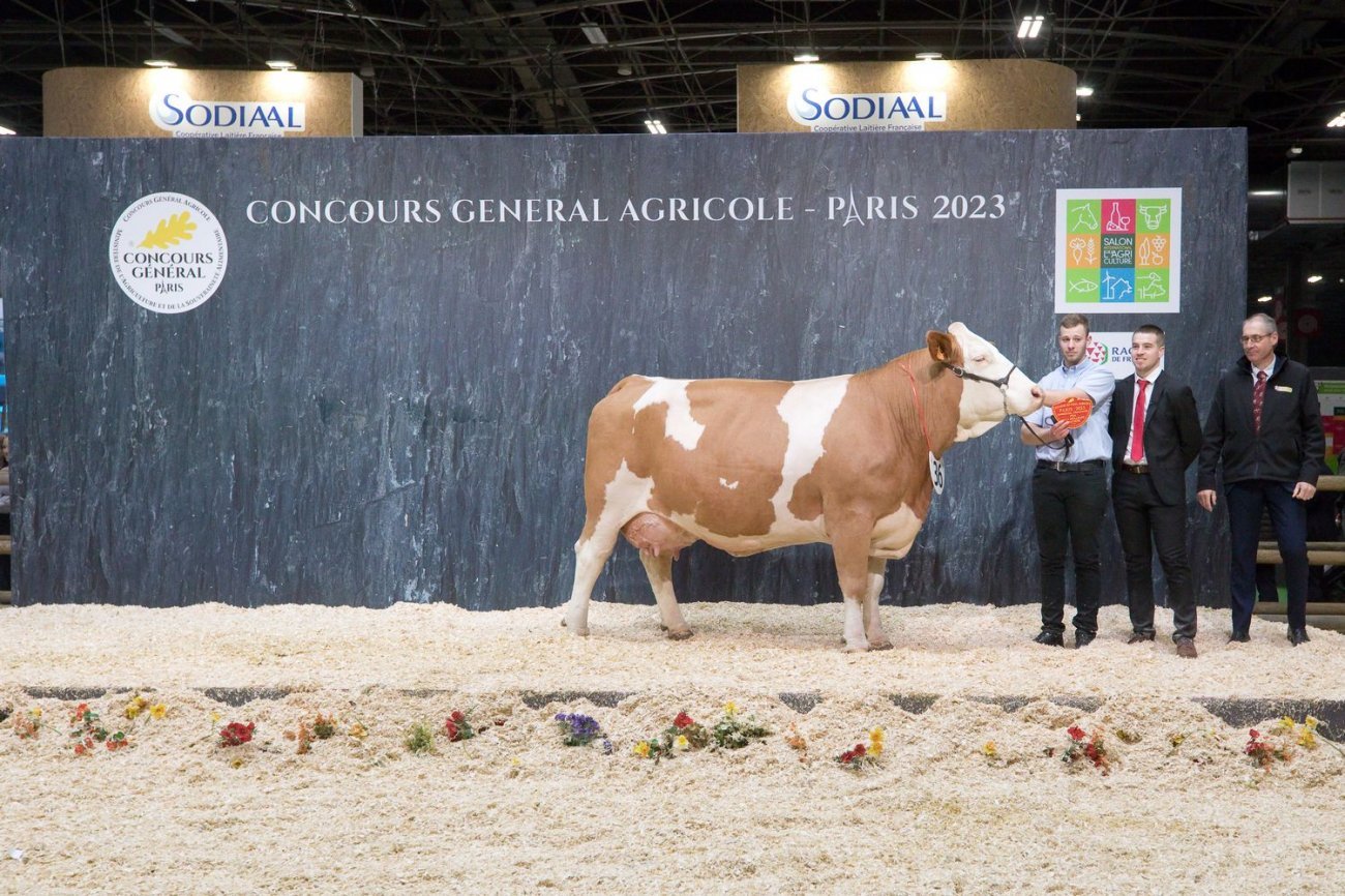Le Concours général agricole remet les prix Prairies fleuries
