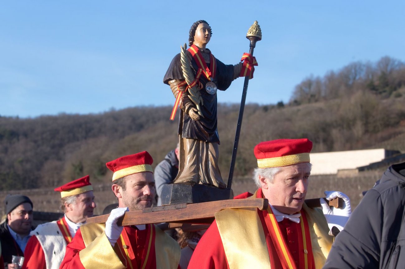 BOURGOGNE Lancement de la SaintVincent tournante 2024 Infos Dijon