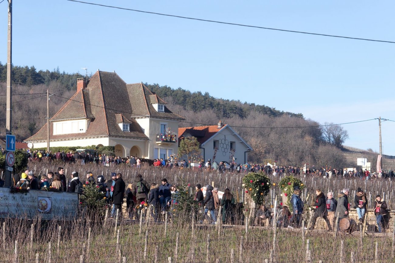 BOURGOGNE L'ambiance de la SaintVincent tournante 2024 Infos Dijon