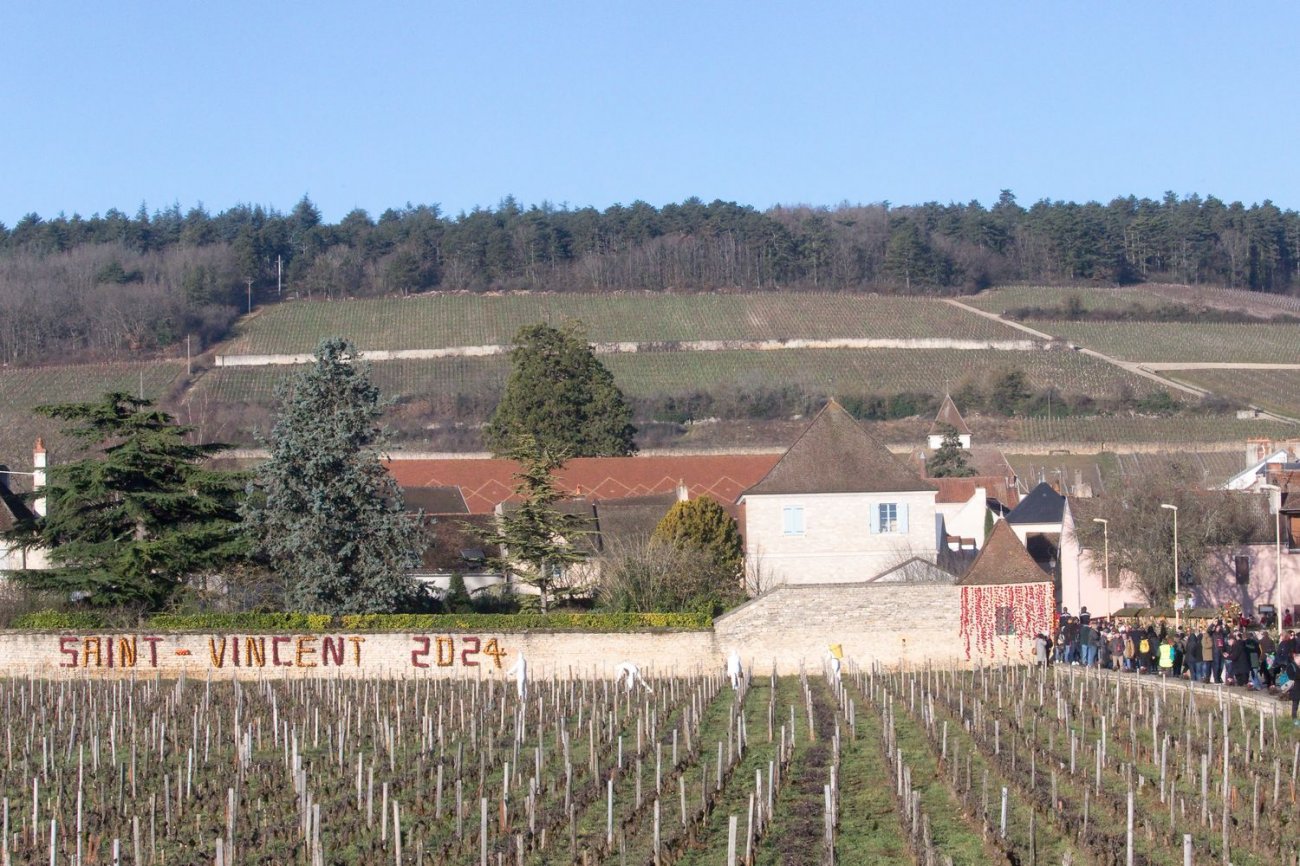 BOURGOGNE L'ambiance de la SaintVincent tournante 2024 Infos Dijon