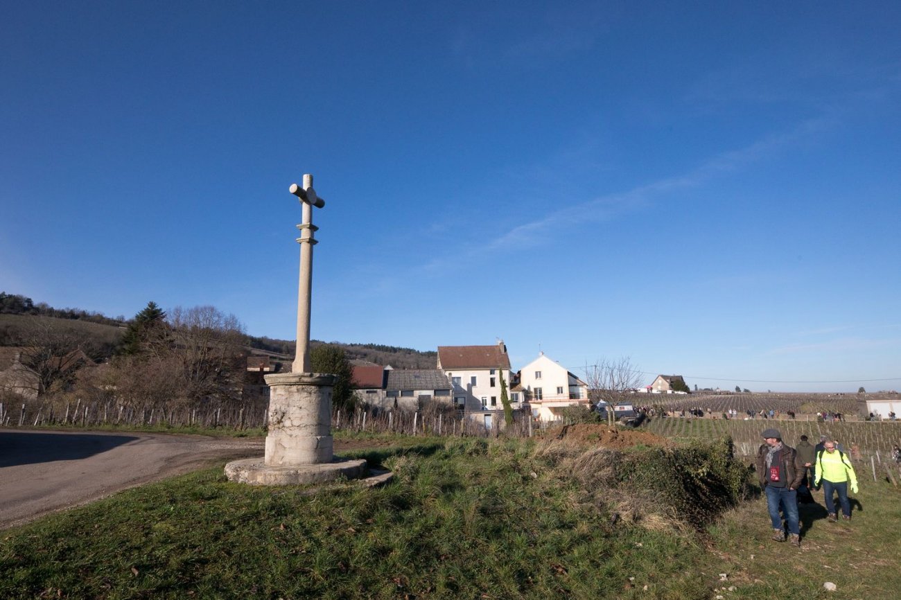 BOURGOGNE L'ambiance de la SaintVincent tournante 2024 Infos Dijon