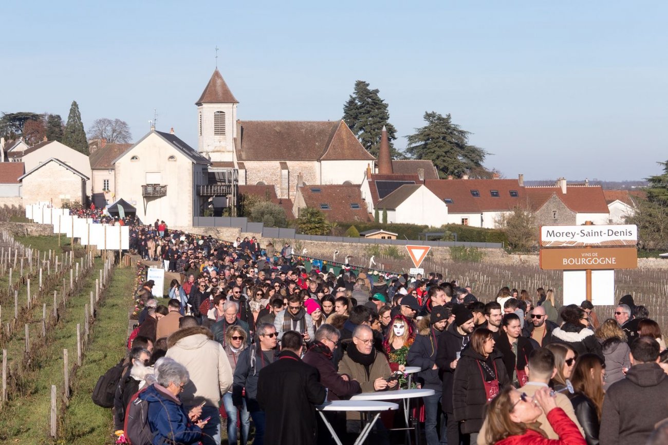 BOURGOGNE L'ambiance de la SaintVincent tournante 2024 Infos Dijon