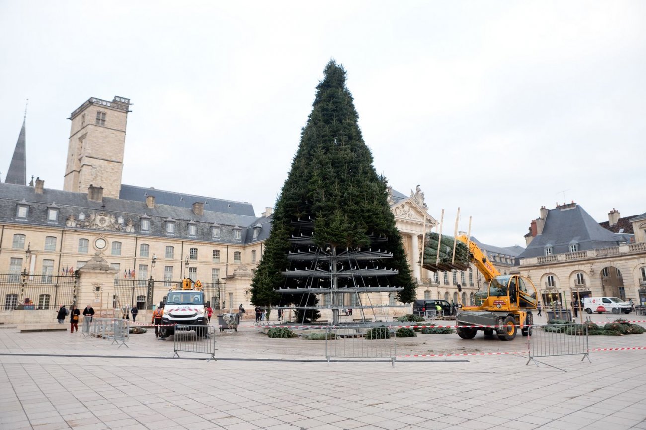 Sapin De Noël En Carton 1m à Décorer – Fabrication Française – Écologique Et Réutilisable
