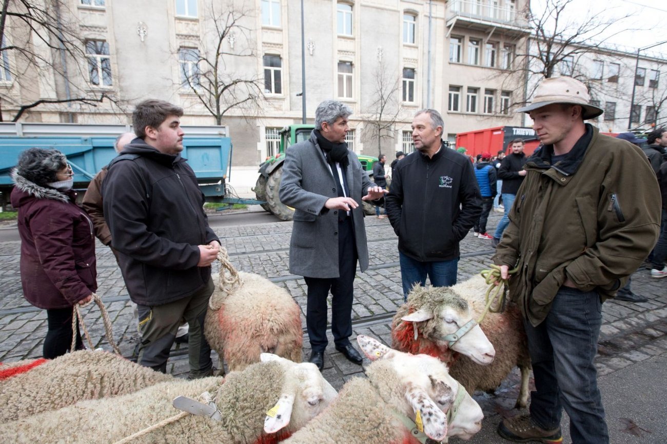 FNSEA Farmers’ Demonstration in Dijon: Republicans’ Representative Calls Out Regional Council’s Mismanagement of European Subsidies